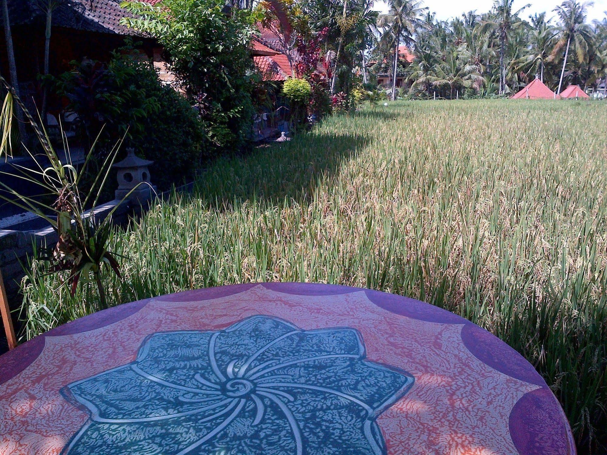 Puji Hostel And Bungalow Ubud Екстер'єр фото