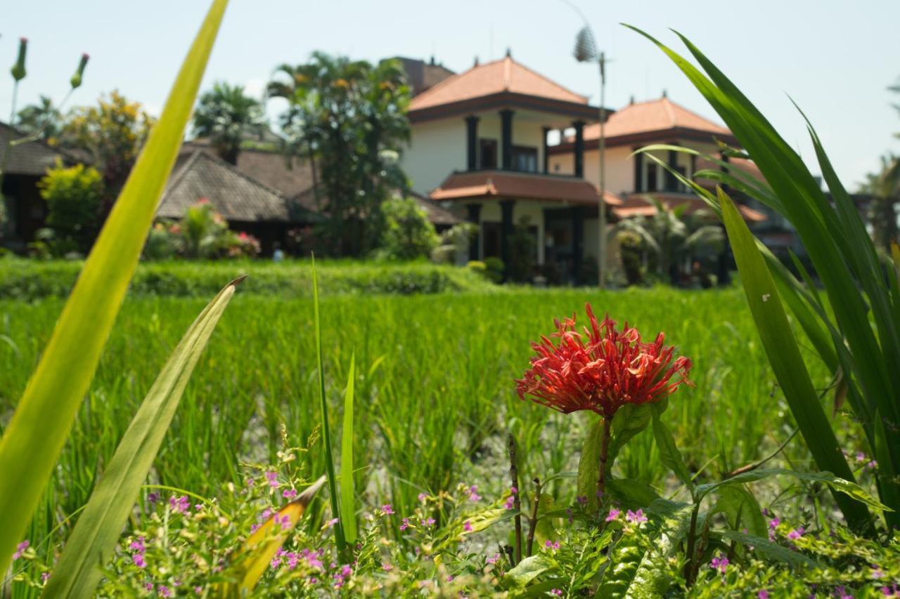 Puji Hostel And Bungalow Ubud Екстер'єр фото